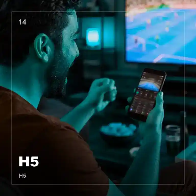 移动端H5页面